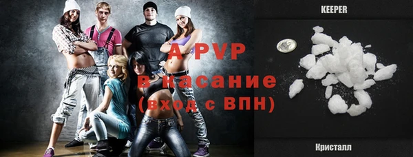 прущие грибы Бронницы