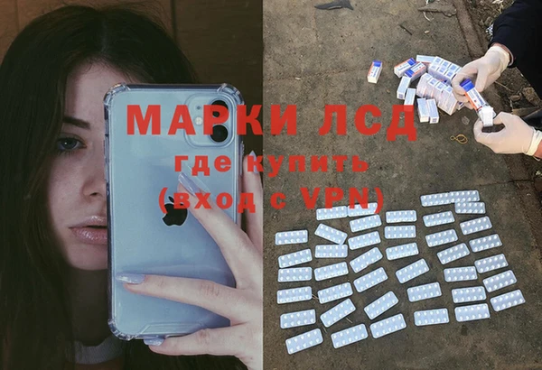 мяу мяу мука Бородино