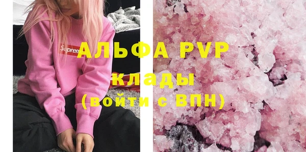 прущие грибы Бронницы