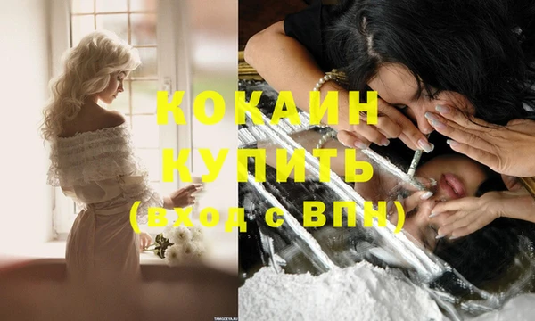 гидропоника Аша