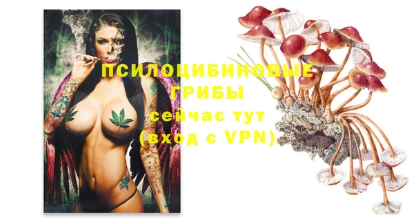 прущие грибы Бронницы