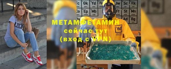 мяу мяу мука Бородино