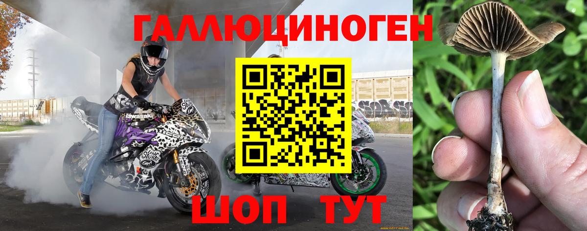 Псилоцибиновые грибы мухоморы  где продают наркотики  Галлюциногенные грибы Psilocybine cubensis  Валуйки 