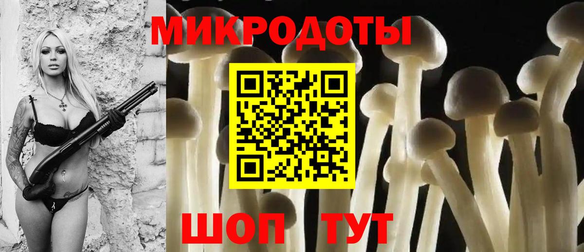 Псилоцибиновые грибы Psilocybine cubensis Валуйки